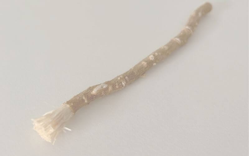 ミスワーク Miswak